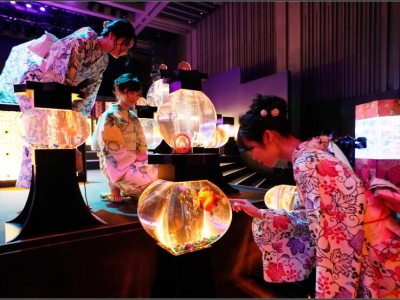 ձü~(y)ˇg(sh)չ \[(mng)