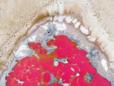 ɹŸՈDЂ(g)Ůġ GĮL(fng)