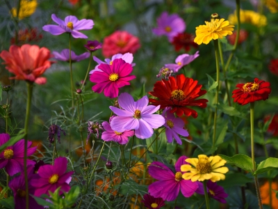 A@վոʢ_(ki) 涷Gɫ